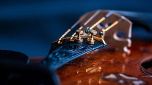 Read more about the article Music of the Masters in the Open Garden