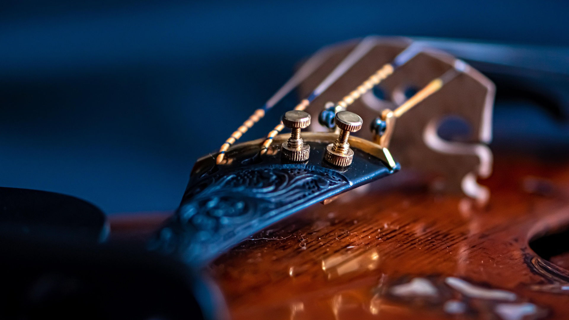 Read more about the article Music of the Masters in the Open Garden